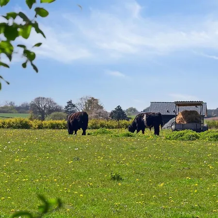 Bjarke - 200m From The Sea By Interhome Prázdninový dům *