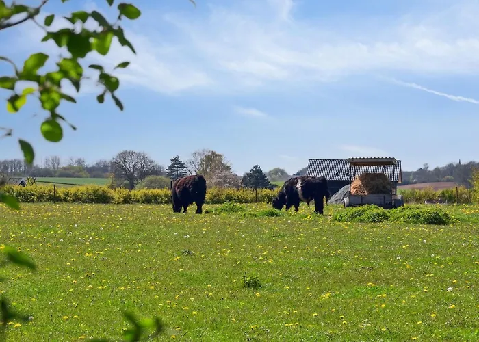 Bjarke - 200m From The Sea By Interhome Vakantiehuis *